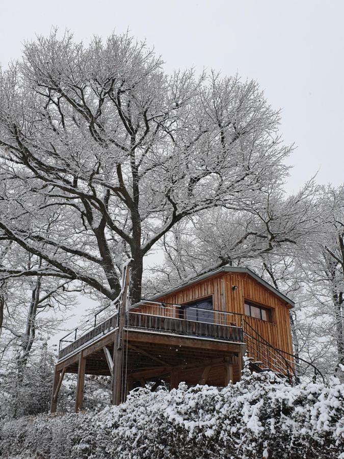 La Cabane Perchee Du Faucon Frechou-Frechet Dış mekan fotoğraf